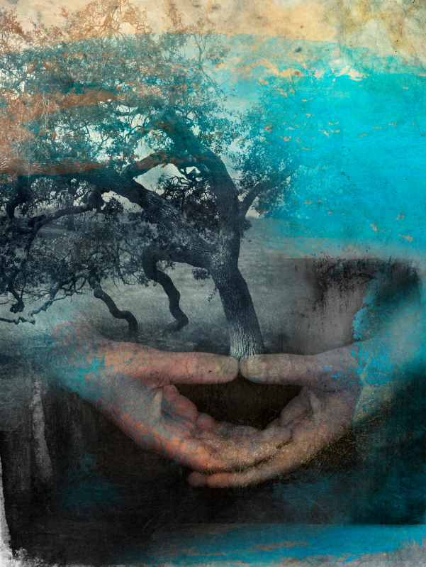past life regression